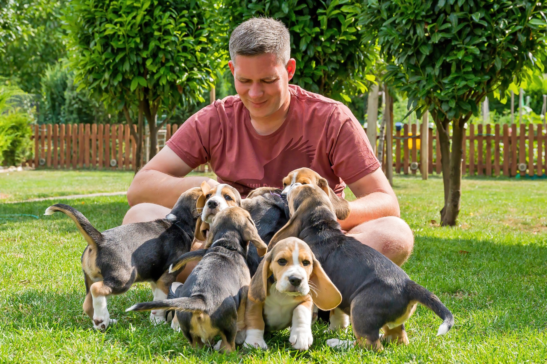 chvíle so šteniatkami v záhrade