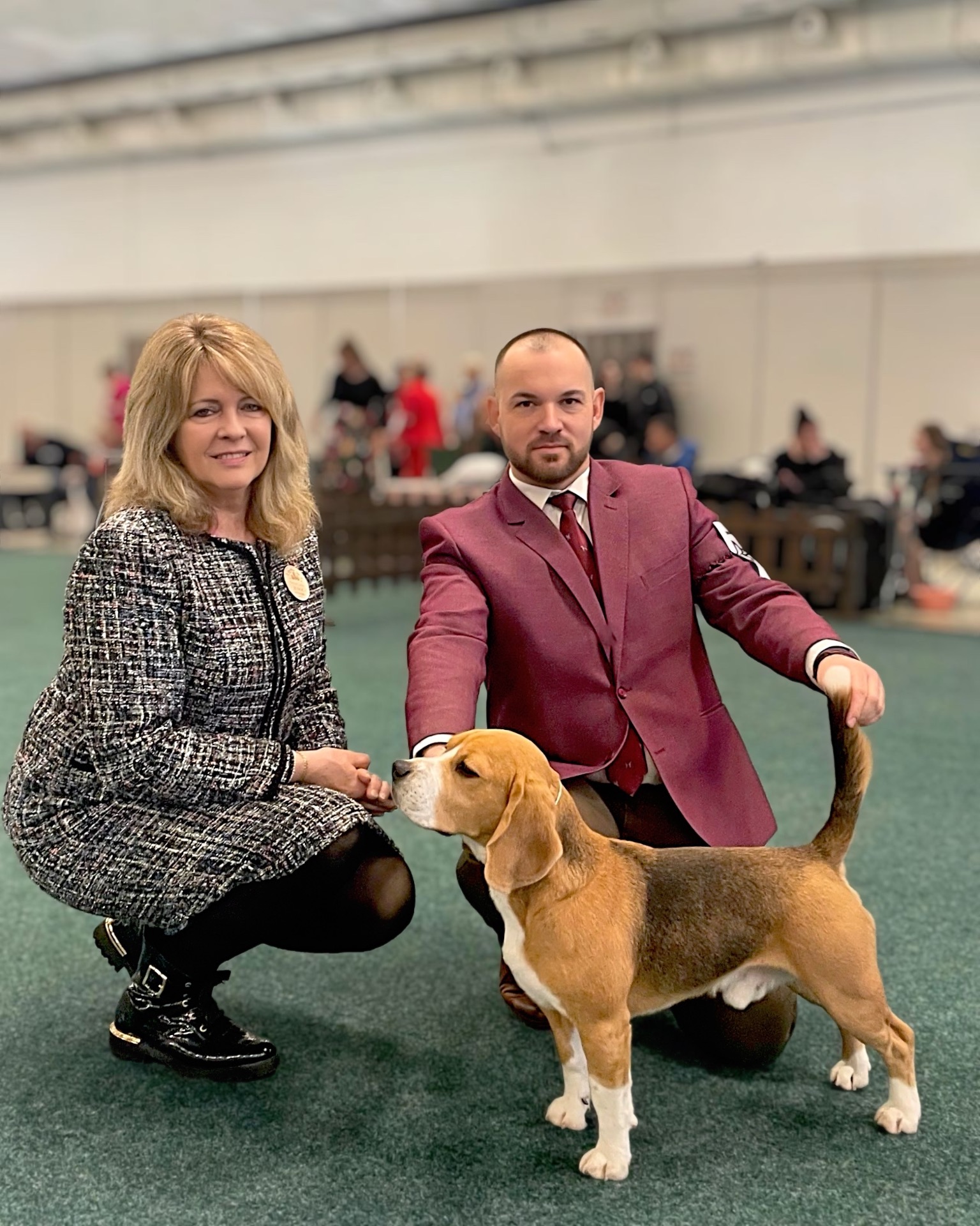 Elliott Best of Breed